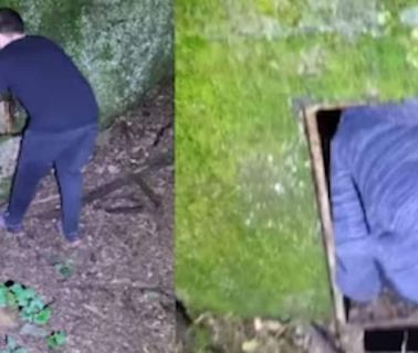 Watch: On Walk In Forest, Man Discovers A Hidden Underground Tunnel - News18