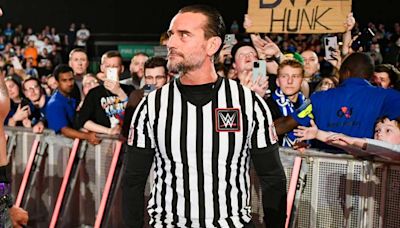 Paul “Triple H” Levesque Addresses WWE’s Current Relationship With CM Punk - PWMania - Wrestling News