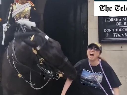 Watch: Tourist bitten by King’s Guard horse - while standing under warning sign