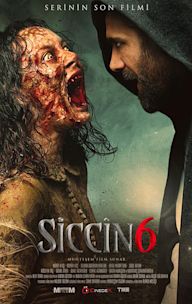 Siccin 6