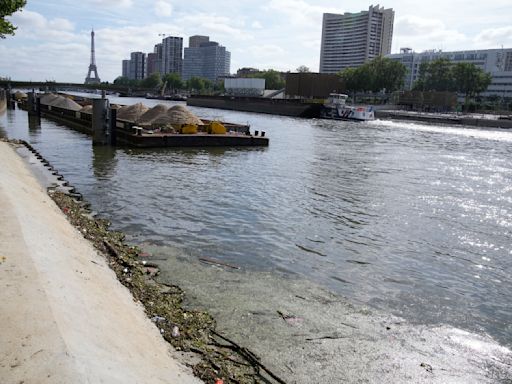 Tests show Paris' Seine River still has unsafe E. coli levels with Olympics less than a month away