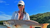 Redfish bite strong in many spots in Tampa Bay with keeper-sized fish being caught