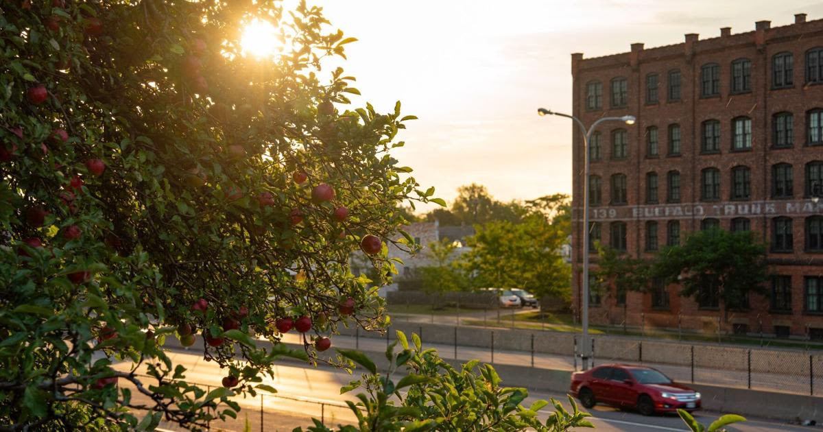 Western New York's summerlike weather heading into overtime