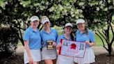 Helena girls win sectional, Spain Park, Briarwood boys finish runner-up as county golfers qualify for sub-state - Shelby County Reporter