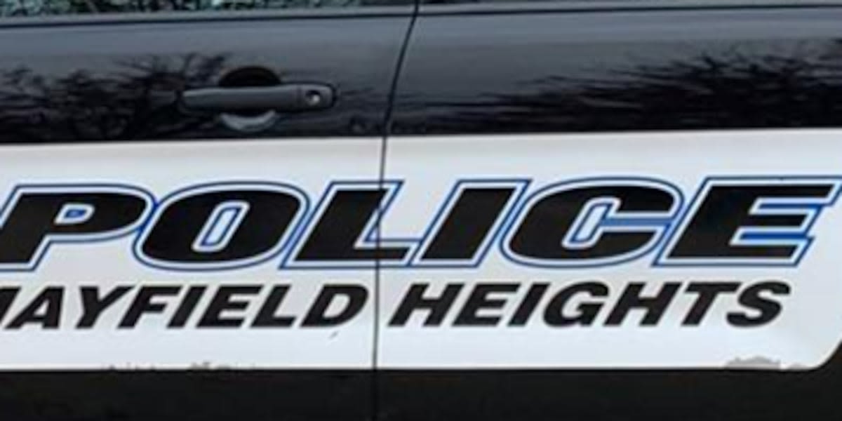 10 juveniles arrested by Mayfield Heights Police following fights during annual festival: Chief