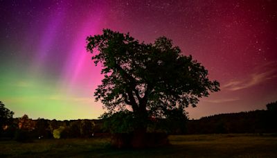 The Northern Lights could return this week – 5 ways to plan your photo shoot
