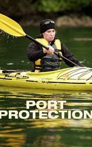 Port Protection