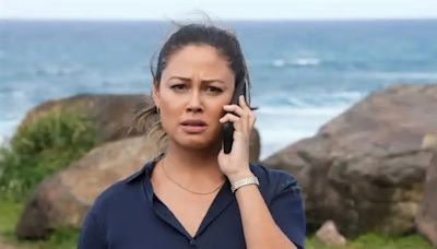 Vanessa Lachey Mourns ‘NCIS: Hawai’i’ Cancellation: ‘I Wish We Had More Time’