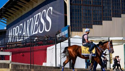 2024 Preakness date and time: When is the race, how to watch, odds, horses and weather