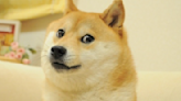 Despiden a "Doge", la perrita más famosa de internet
