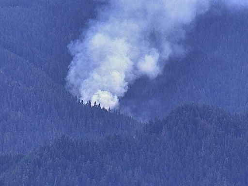 Oregon wildfire spotted near Blue River east of Eugene