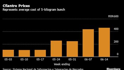 A 400% Jump in Cilantro Prices Forces Mexican Taquerias to Get Creative