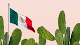 Planta mexicana que previene el cáncer