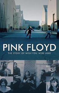 The Story of Wish You Were Here