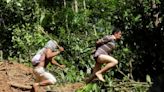 'Narco-deforestation' in focus at upcoming summit of Amazon nations