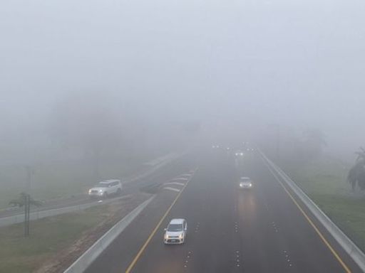 Weather alert: Beware of foggy conditions in Abu Dhabi