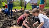 A climate change book club needed hope. So, it decided to plant Iowa's first mini-forest.