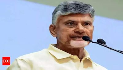 Official gets the boot for CM N Chandrababu Naidu land bribe | Amaravati News - Times of India