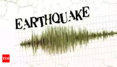 Madhya Pradesh's Khandwa shakes with 3.6 magnitude earthquake | Indore News - Times of India