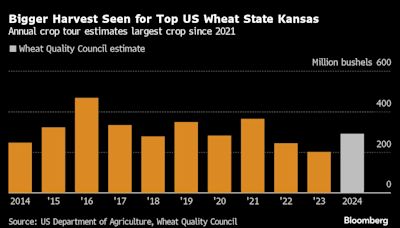 US Wheat Comes to Rescue Market Plagued by Russian Shortfall