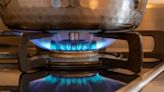 The debate over gas stoves reignites