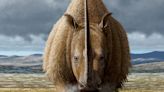 Ancient whodunit solved: Hunters drove wooly rhinos to extinction