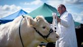 PICTURES: Nairn Show shines bright as event marks 205th year