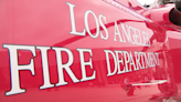 Canoga Park structure fire kills two dogs