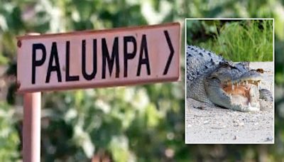 Australian girl, 12, killed by crocodile while swimming in creek