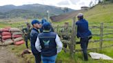 La CAR impuso medida preventiva a un campesino que invadió 8 hectáreas de un páramo para cultivar papa