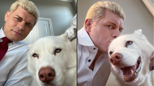 WWE’s Cody Rhodes Reveals Why His Dog Pharaoh Won’t Join Him on Tours Anymore