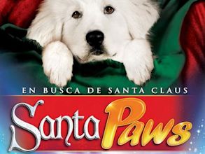 The Search for Santa Paws