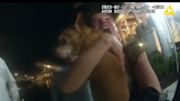 Watch chihuahua reunite with owners after treading water 40 minutes in Florida bay