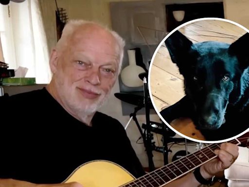 David Gilmour releases chilled rehearsal footage of Wish You Were Here