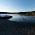 Esquimalt Lagoon Migratory Bird Sanctuary