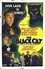 The Black Cat movie poster | Cat movie, Movie posters, Classic horror ...