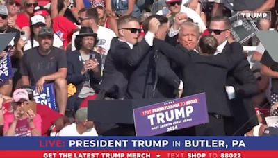 Donald Trump Rushed Off Stage as Pops Heard at Pennsylvania Rally