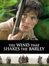 The Wind That Shakes the Barley (film)