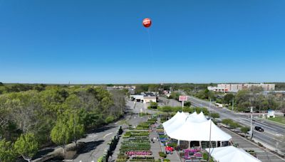 Riverhead Rotary Garden Festival is in full bloom - The Suffolk Times