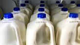 1 in 5 samples of pasteurized milk had bird flu virus fragments, FDA says