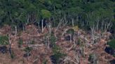 Deforestation in Brazil's Amazon down 40% in Q1, minister says