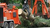 Michigan AG sues tree service companies for alleged price gouging after severe weather