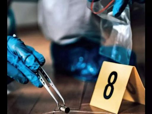 Delhi forensic lab prepares for surge in crime scene investigations under new BNSS laws - The Economic Times