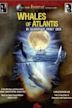 Whales of Atlantis: In Search of Moby Dick