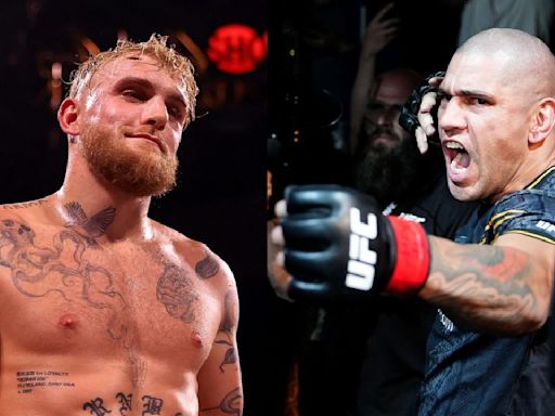 Dana White Could Allow Alex Pereira To Fight Jake Paul So He Can 'Go Out There And Hurt Him' ...