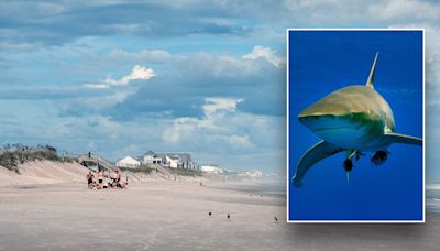 Shark bites teenager's leg in attack at North Carolina beach