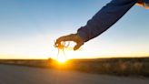 Thousands of tarantulas to ‘migrate’ in Colorado: Here’s where to see it