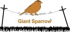 Giant Sparrow