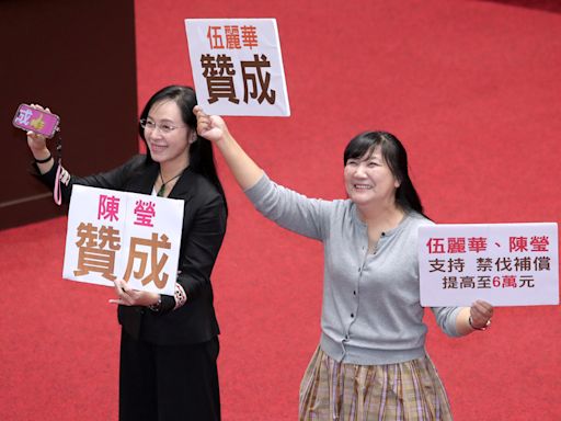 2綠委逆風挺原民禁伐補償修法 柯建銘：體認選區特殊背景可接受