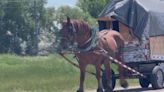 Man on cross-country journey with horse-drawn carriage spotted in North Platte